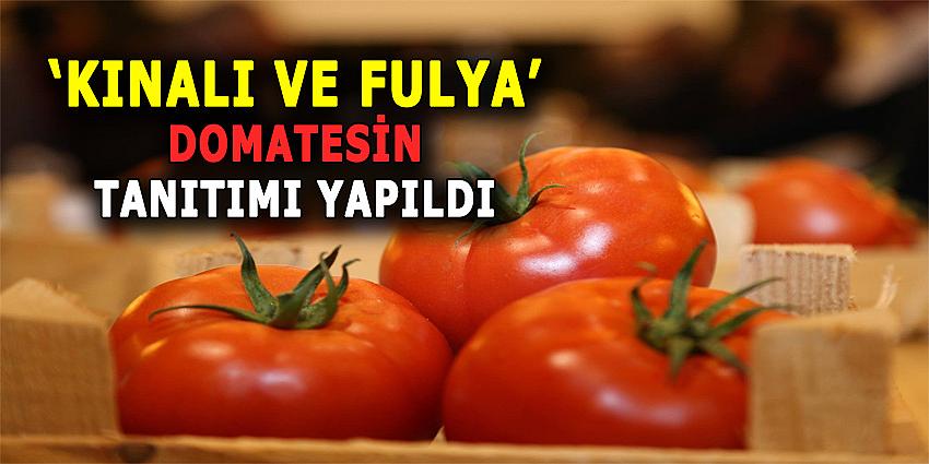 'KINALI VE FULYA' DOMATESİN TANITIMI YAPILDI