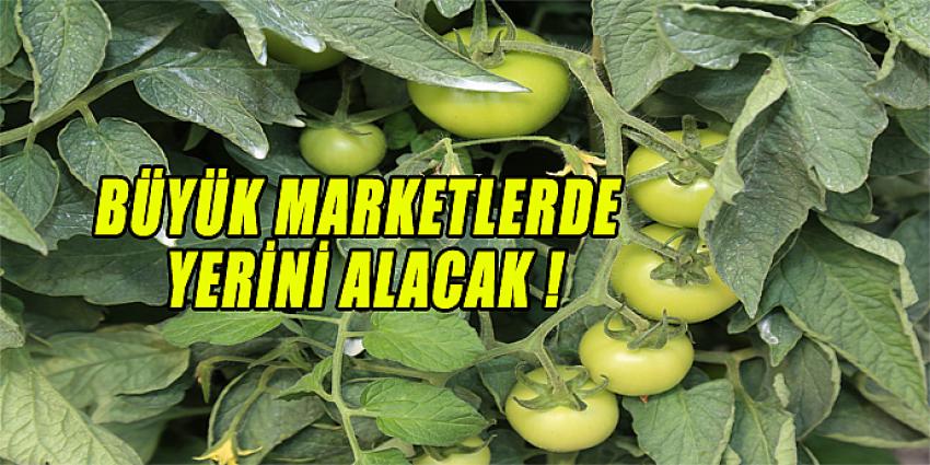 BÜYÜK MARKETLERDE YERİNİ ALACAK