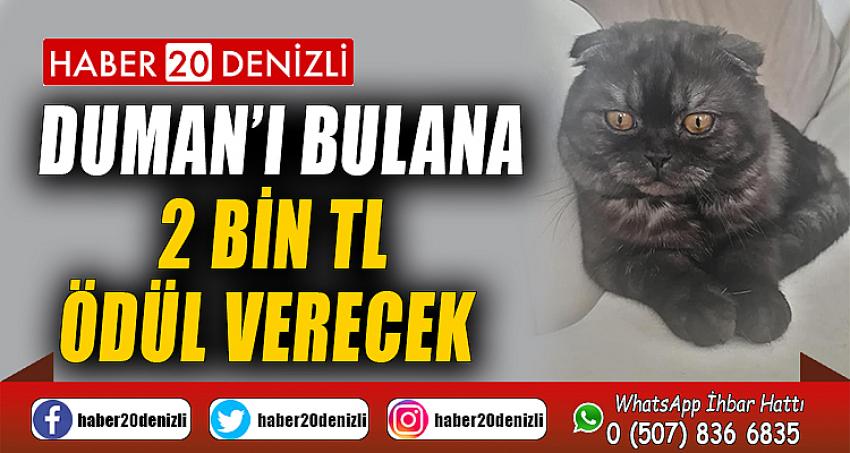 Duman’ı bulana 2 bin TL ödül verecek