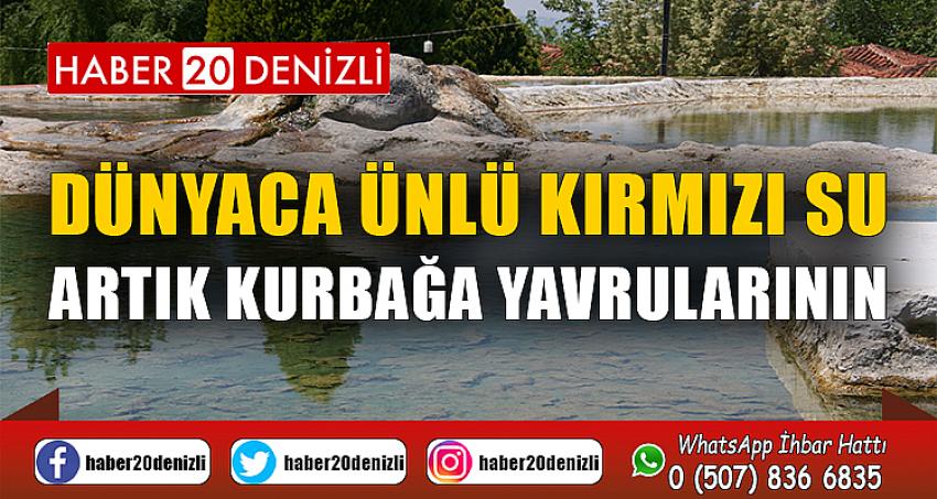 Dünyaca ünlü kırmızı su, artık kurbağa yavrularının