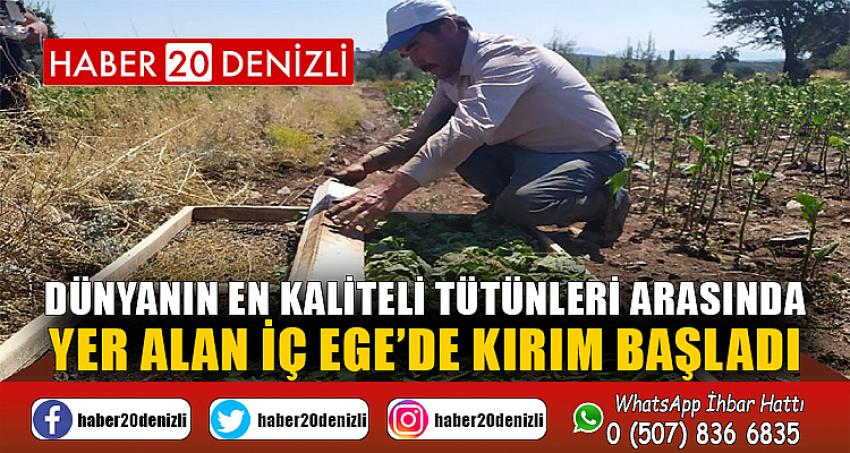 Dünyanın en kaliteli tütünleri arasında yer alan İç Ege’de kırım başladı