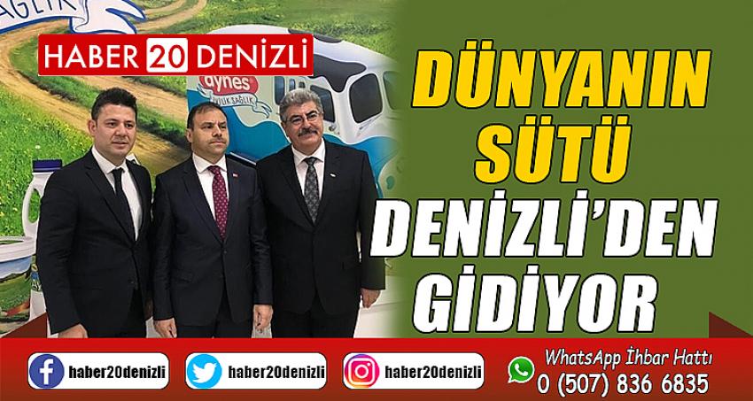 Dünyanın sütü Denizli’den gidiyor