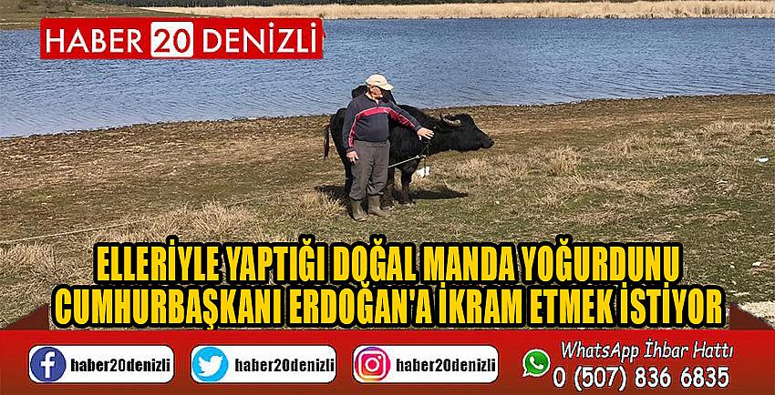 Elleriyle yaptığı doğal manda yoğurdunu Cumhurbaşkanı Erdoğan'a ikram etmek istiyor