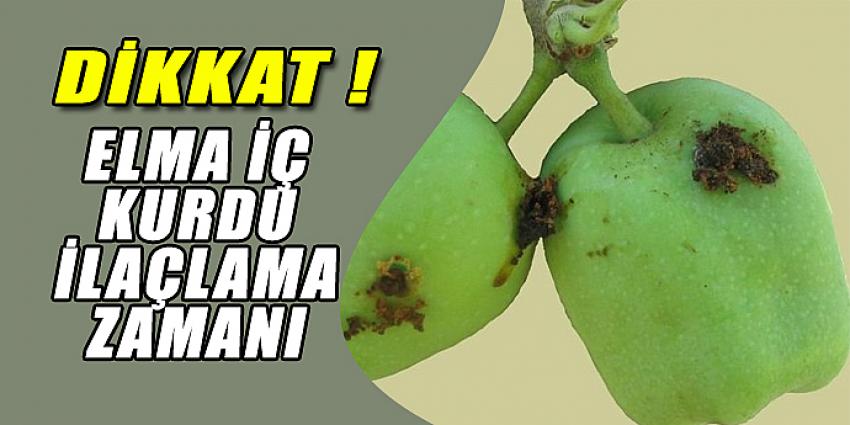 DİKKAT ! ELMA İÇ KURDU İLAÇLAMA ZAMANI