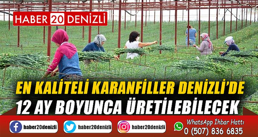 En kaliteli karanfiller Denizli’de 12 ay boyunca üretilebilecek