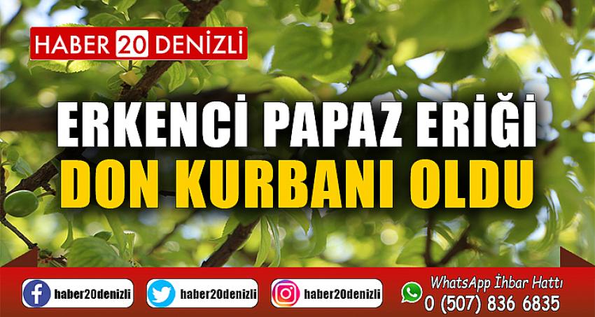 Erkenci papaz eriği don kurbanı oldu