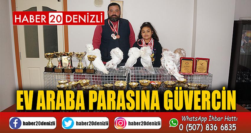 Ev araba parasına güvercin