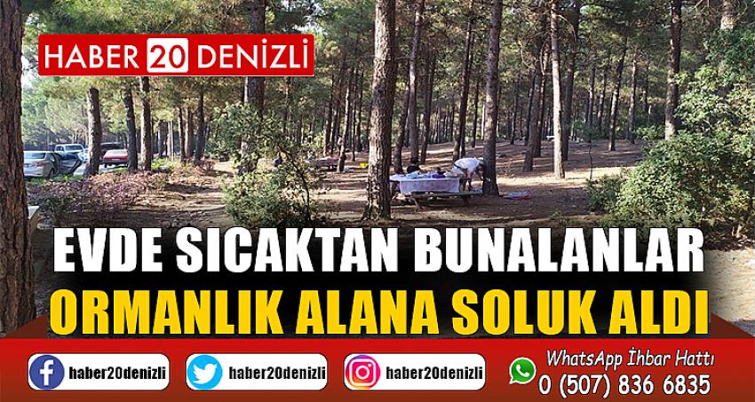 Evde sıcaktan bunalanlar, ormanlık alana soluk aldı