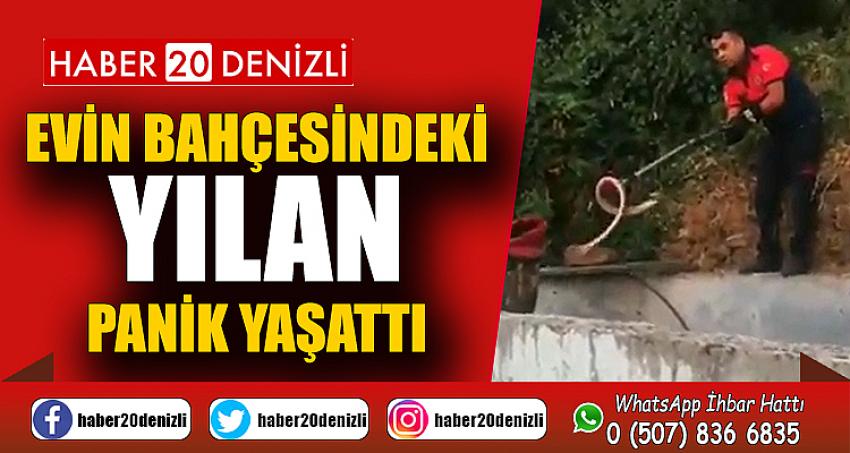 Evin bahçesindeki yılan panik yaşattı