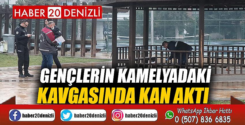 Gençlerin kamelyadaki kavgasında kan aktı