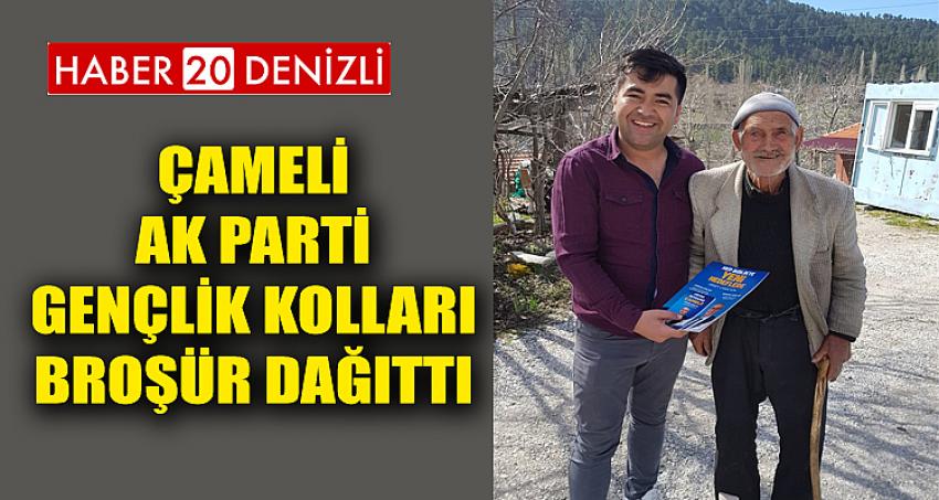 Çameli AK Parti Gençlik Kolları Broşür Dağıttı