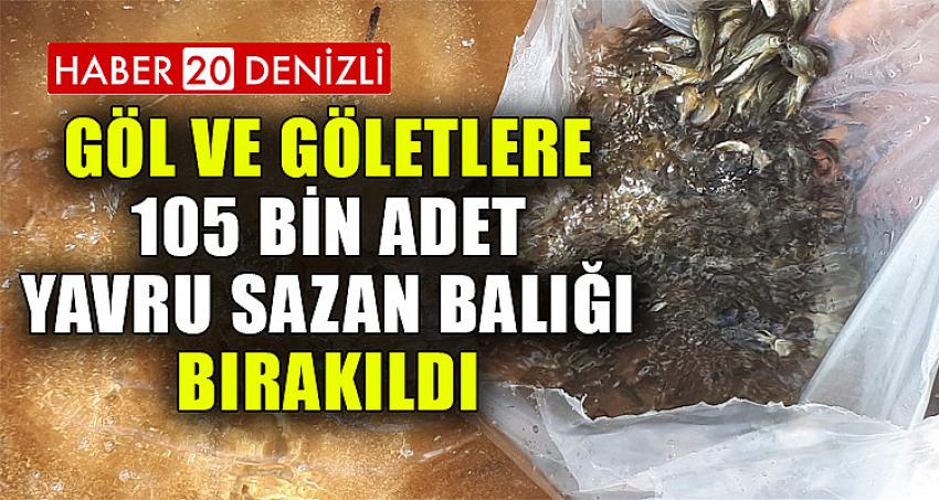 GÖL VE GÖLETLERE 105 BİN ADET YAVRU SAZAN BALIĞI BIRAKILDI