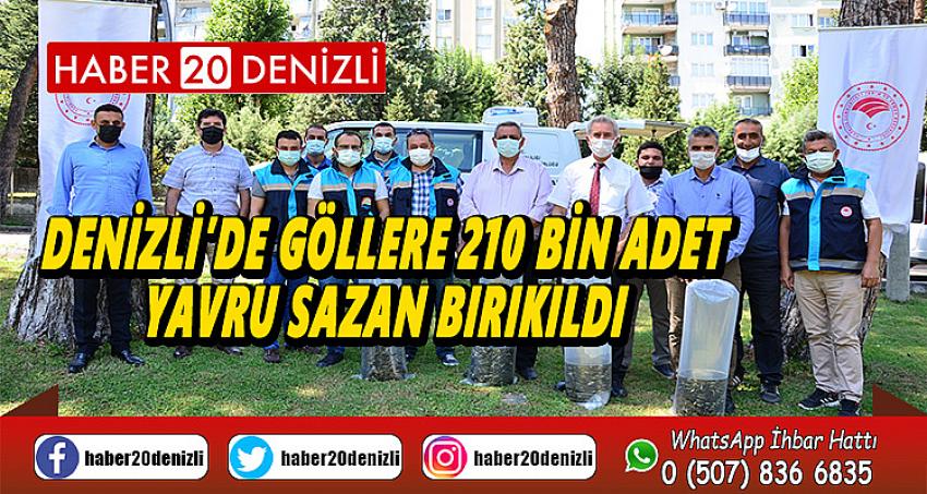 Denizli’de göllere 210 bin adet yavru sazan bırıkıldı