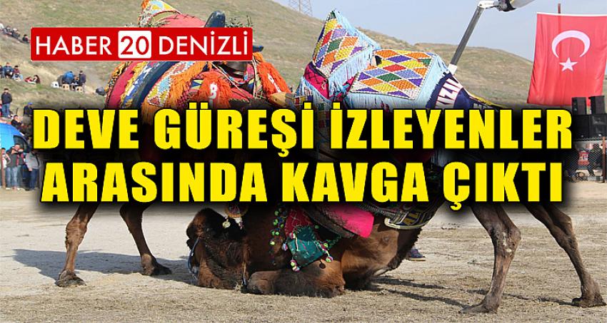 DEVE GÜREŞİ İZLEYENLER ARASINDA KAVGA ÇIKTI