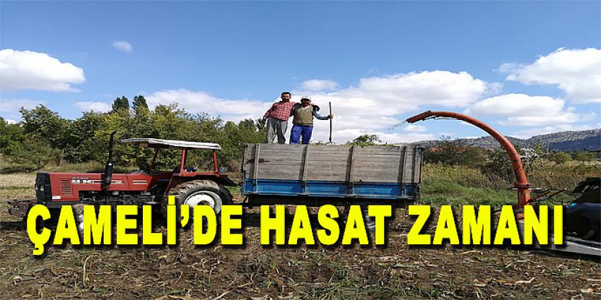 ÇAMELİ'DE HASAD ZAMANI