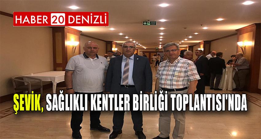 ŞEVİK,SAĞLIKLI KENTLER BİRLİĞİ TOPLANTISI'NDA