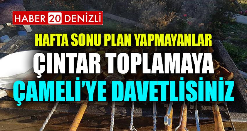 HAFTA SONU PLAN YAPMAYANLAR ÇINTAR TOPLAMAYA ÇAMELİ’YE DAVETLİSİNİZ