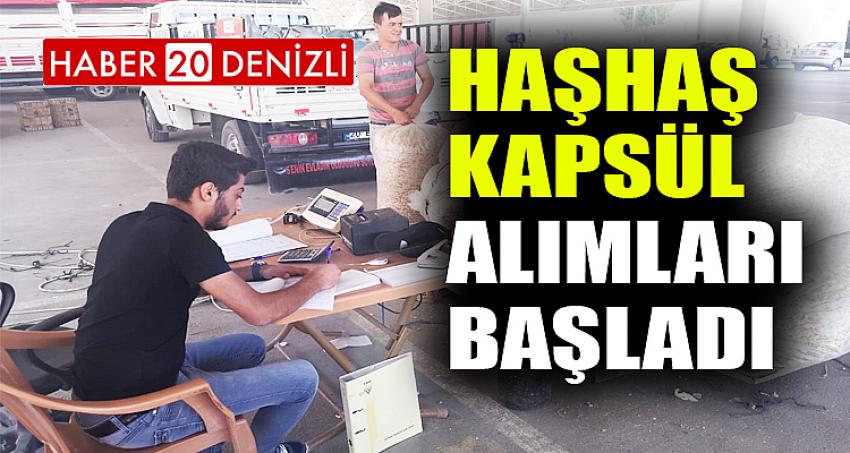 Haşhaş Kapsül Alımları Başladı