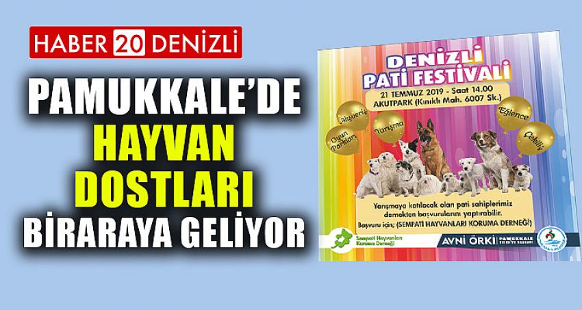 PAMUKKALE’DE HAYVAN DOSTLARI BİRARAYA GELİYOR