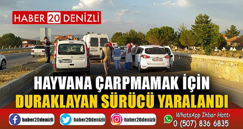 Hayvana çarpmamak için duraklayan sürücü yaralandı