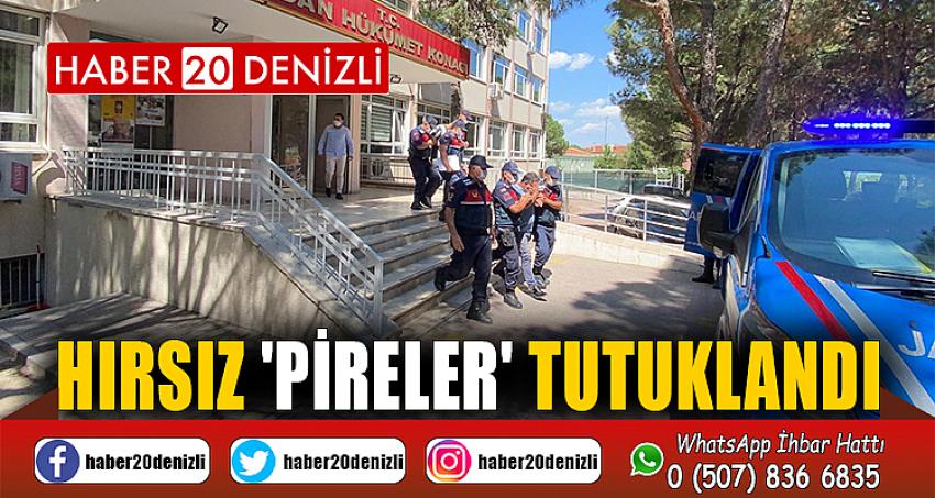 Hırsız 'pireler' tutuklandı