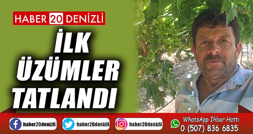 İlk üzümler tatlandı