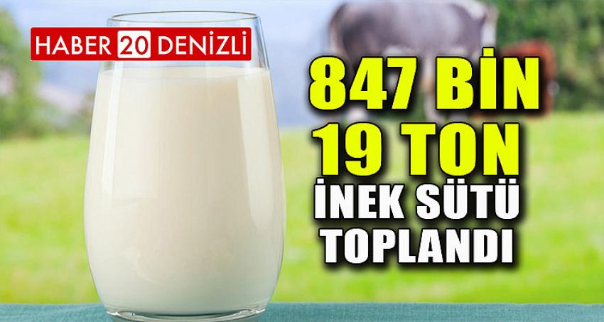  847 bin 19 ton inek sütü toplandı