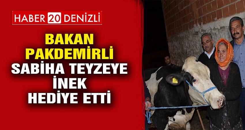 BAKAN PAKDEMİRLİ SABİHA TEYZEYE İNEK HEDİYE ETTİ