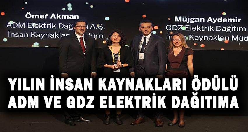 YILIN İNSAN KAYNAKLARI ÖDÜLÜ ADM VE DGZ ELEKTRİK DAĞITIMA