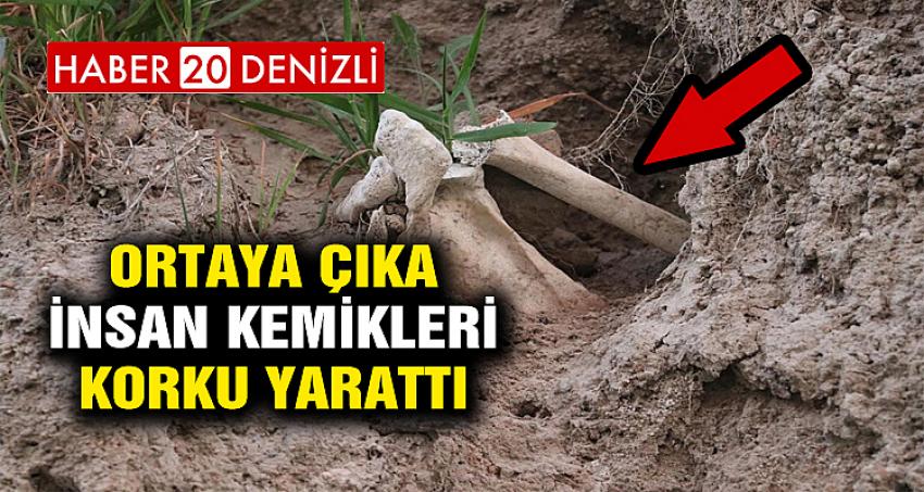 ORTAYA ÇIKAN İNSAN KEMİKLERİ KORKU YARATTI