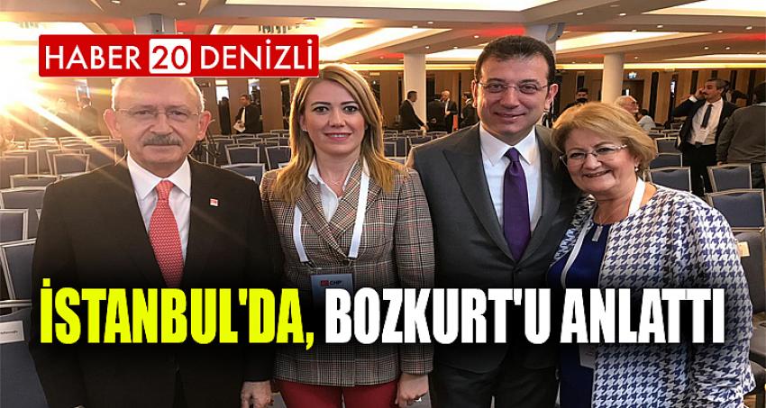 İSTANBUL'DA, BOZKURT'U ANLATTI