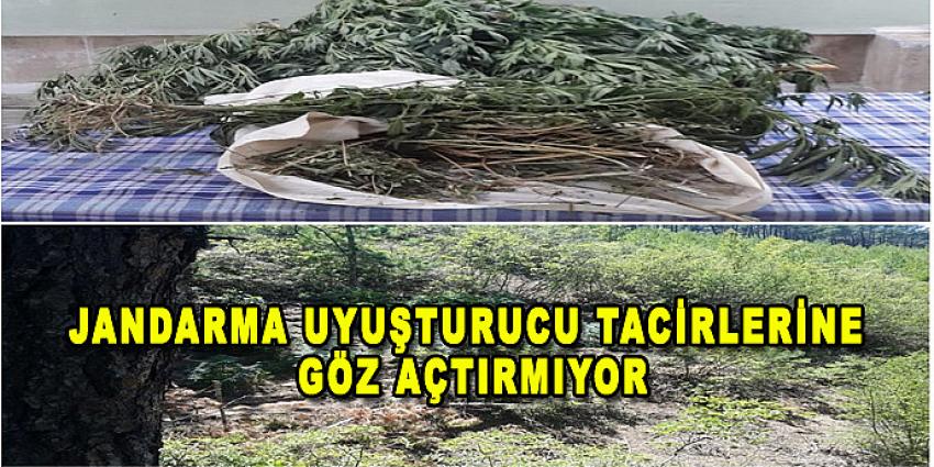 JANDARMA UYUŞTURUCU TACİRLERİNE GÖZ AÇTIRMIYOR