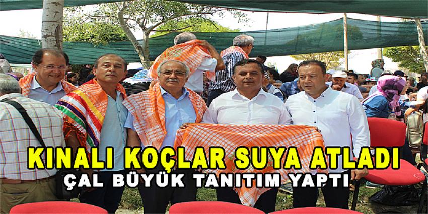KINALI KOÇLAR SUYA ATLADI