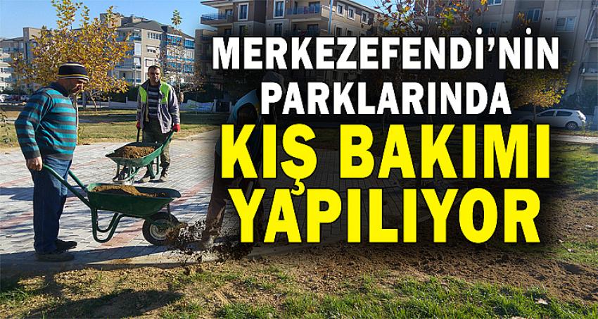 MERKEZEFENDİ’NİN PARKLARINDA KIŞ BAKIMI YAPILIYOR