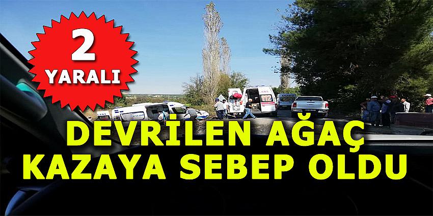 DEVRİLEN AĞAÇ KAZAYA SEBEP OLDU