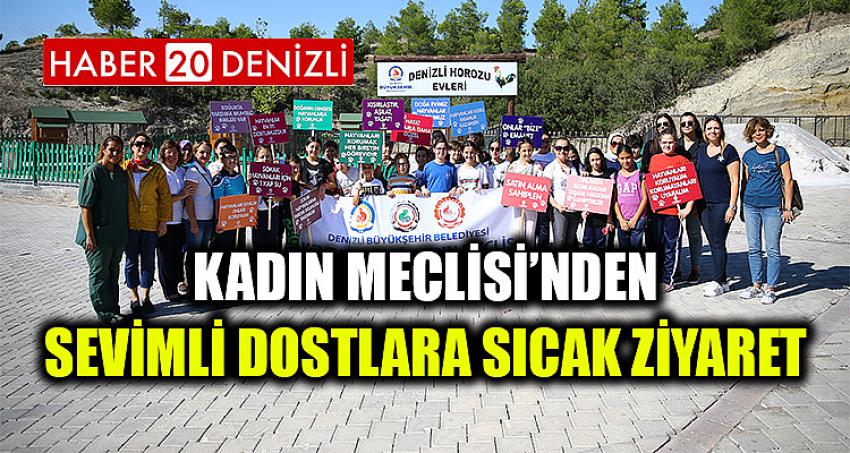 Kadın Meclisi’nden sevimli dostlara sıcak ziyaret