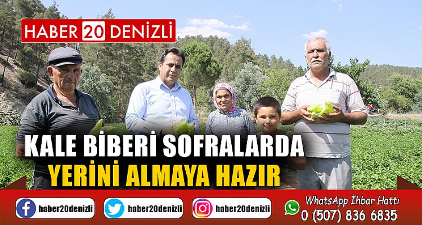 KALE BİBERİ SOFRALARDA YERİNİ ALMAYA HAZIR