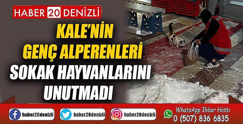 Kale’nin genç Alperenleri sokak hayvanlarını unutmadı