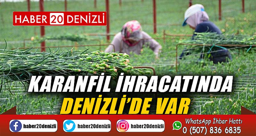 Karanfil ihracatında Denizli’de var