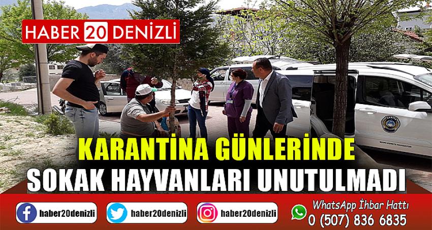 Karantina günlerinde sokak hayvanları unutulmadı