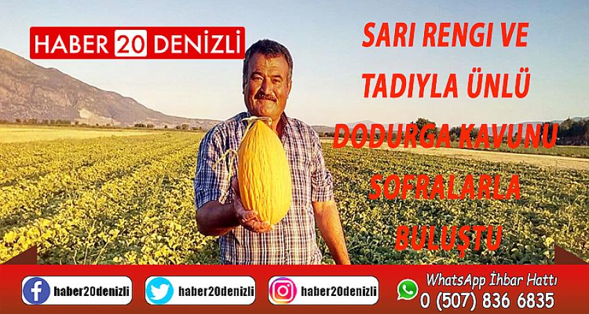 Sarı rengi ve tadıyla ünlü Dodurga kavunu sofralarla buluştu