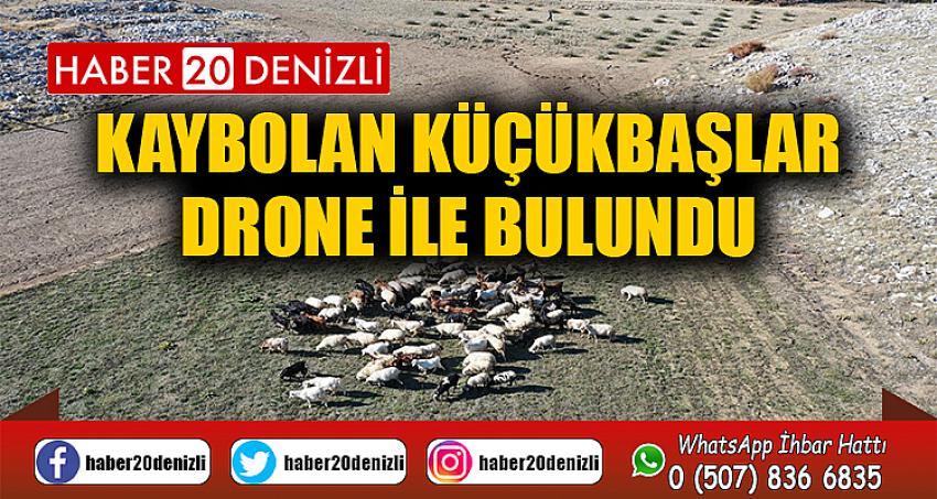 Kaybolan küçükbaşlar drone ile bulundu