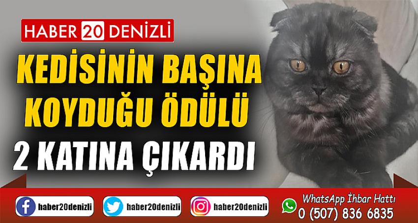 Kedisinin başına koyduğu ödülü 2 katına çıkardı