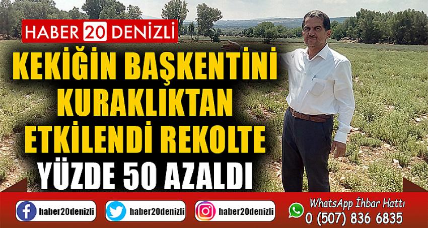 Kekiğin başkentini kuraklıktan etkilendi, rekolte yüzde 50 azaldı