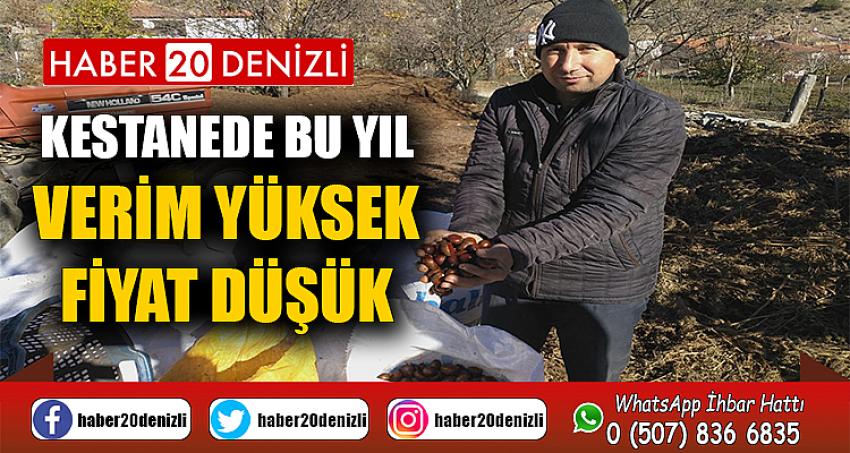 Kestanede bu yıl verim yüksek fiyat düşük