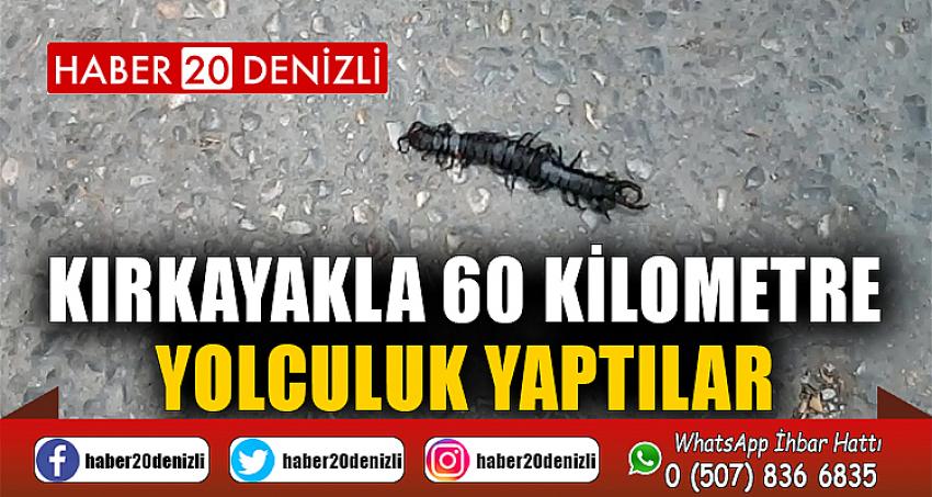 Kırkayakla 60 kilometre yolculuk yaptılar