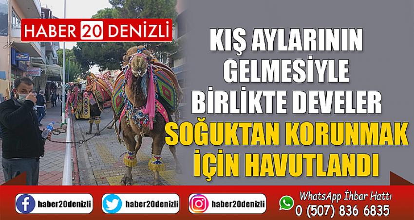 Kış aylarının gelmesiyle birlikte devler soğuktan korunmak için havutlandı