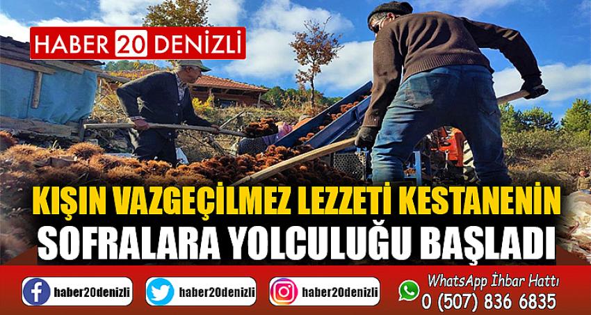 Kışın vazgeçilmez lezzeti kestanenin sofralara yolculuğu başladı