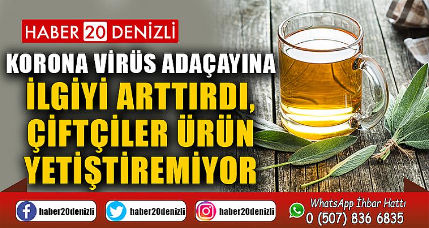 Korona virüs adaçayına ilgiyi arttırdı, çiftçiler ürün yetiştiremiyor