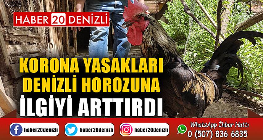 Korona yasakları Denizli horozuna ilgiyi arttırdı